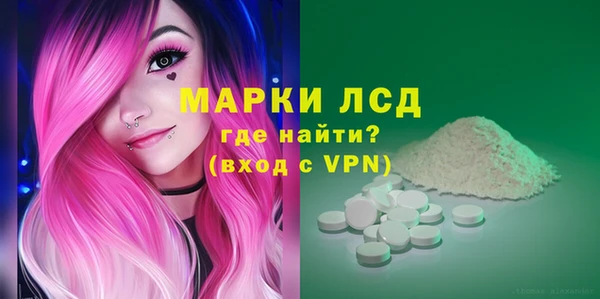 индика Алексин
