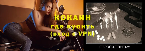 индика Алексин