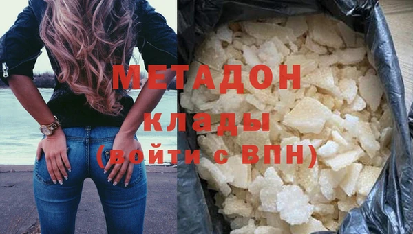 индика Алексин
