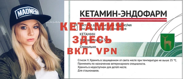 индика Алексин