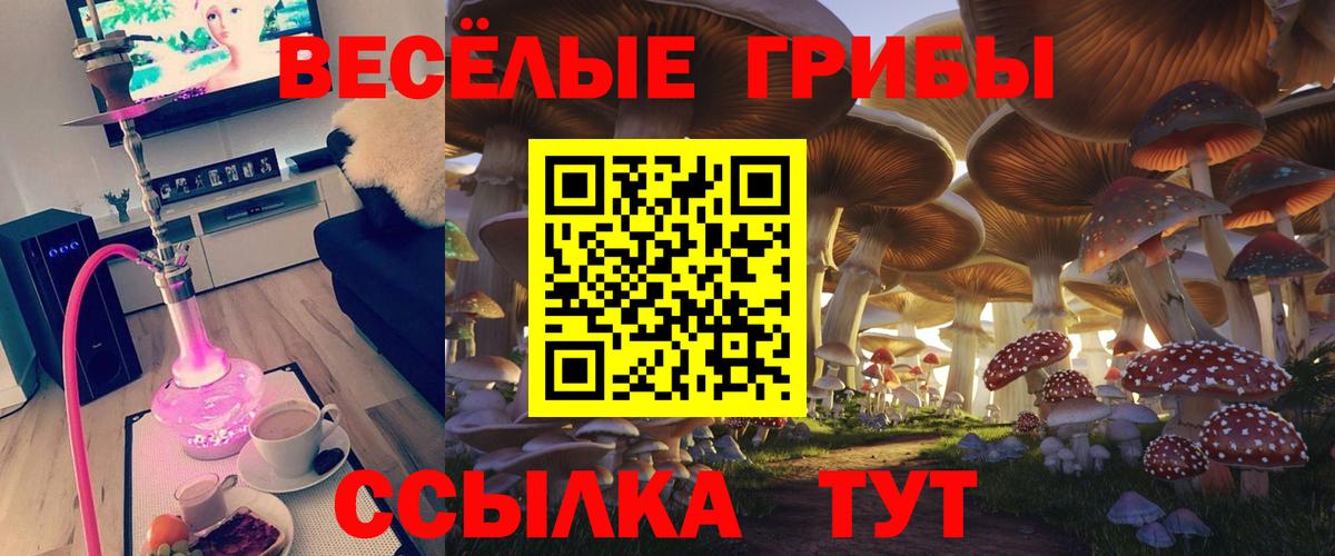 Галлюциногенные грибы мицелий  Галлюциногенные грибы мухоморы  Вход с VPN  Дубна 